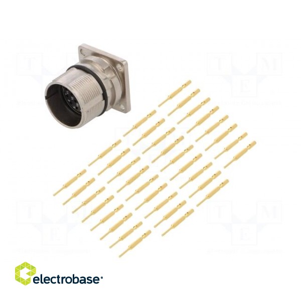 Connector: M23 | socket | PIN: 17 | male | crimped | straight | 9A | IP67 paveikslėlis 1