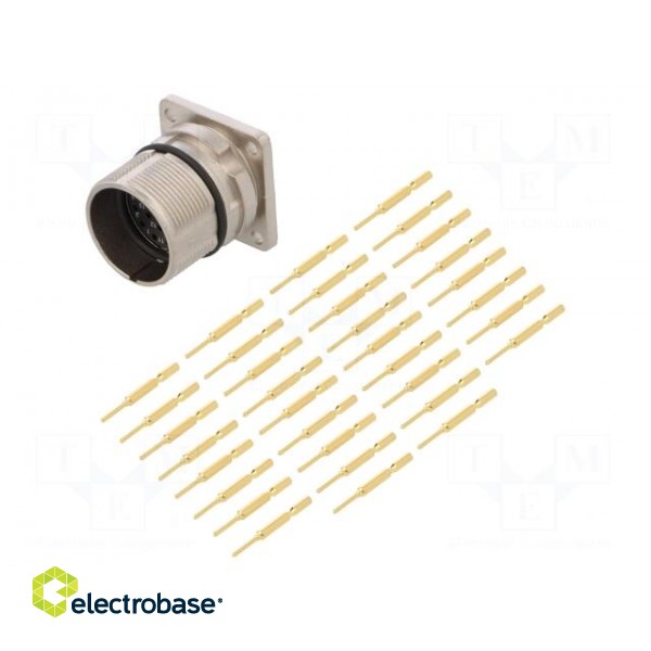 Connector: M23 | socket | PIN: 17 | male | crimped | straight | 9A | IP67 paveikslėlis 1