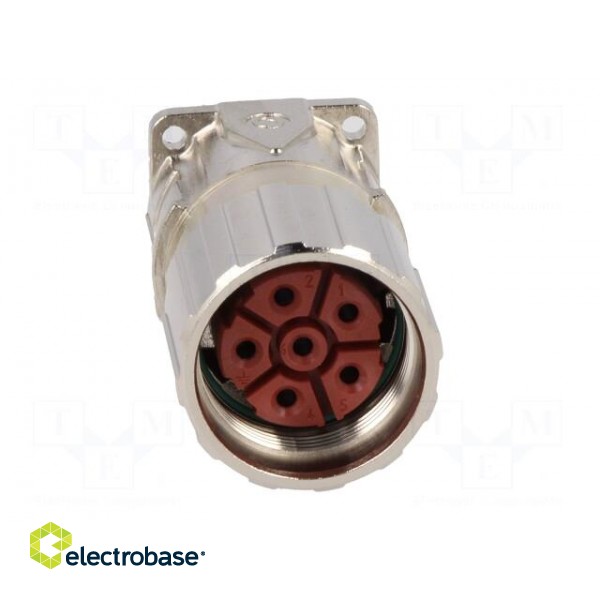 Connector: M23 | socket | PIN: 6 | female | crimped | straight | 25A | IP68 фото 9