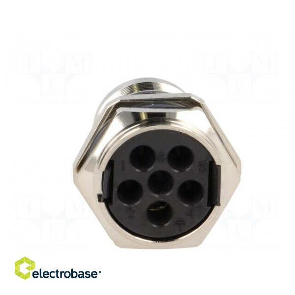 Connector: M23 | socket | PIN: 6 | male | crimped | 28A | shielded | IP67 image 5