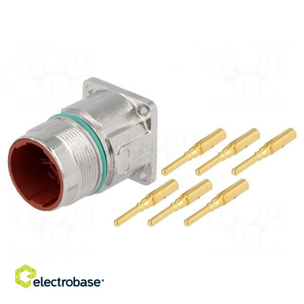 Connector: M23 | socket | PIN: 6 | male | crimped | straight | 25A | IP68
