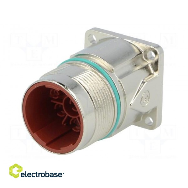 Connector: M23 | socket | PIN: 8(4+4) | male | crimped | straight | IP68 paveikslėlis 2