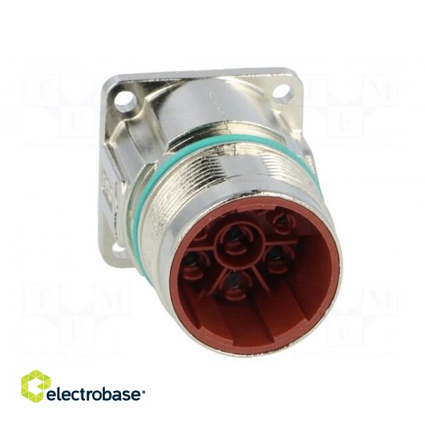 Connector: M23 | socket | PIN: 8(4+4) | male | crimped | straight | IP68 фото 9
