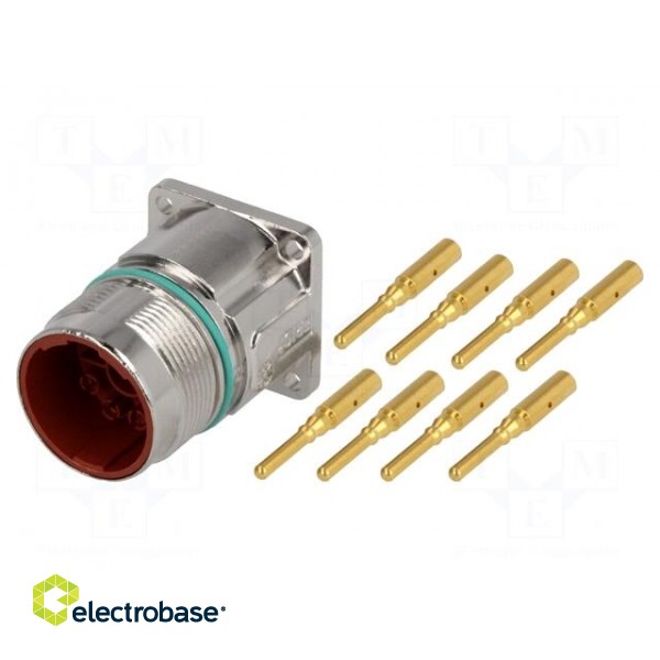 Connector: M23 | socket | PIN: 8(4+4) | male | crimped | straight | IP68 image 1