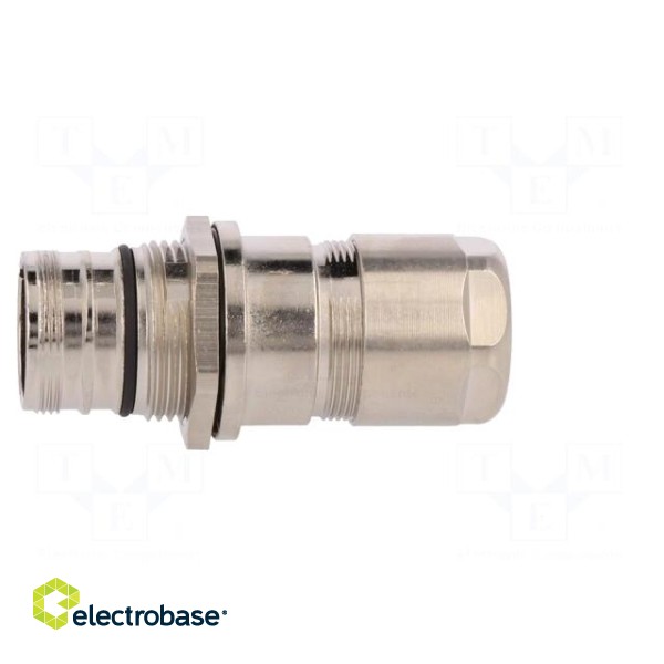Enclosure: for M23 connectors | external thread | straight | 7÷12mm image 7
