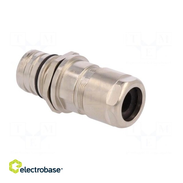 Enclosure: for M23 connectors | external thread | straight | 7÷12mm image 8