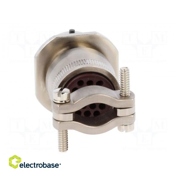 Connector: circular | PT | plug | female | PIN: 19 | with cable clamp paveikslėlis 5
