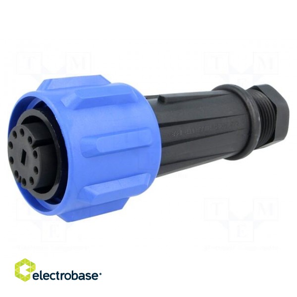 Connector: circular | plug | female | PIN: 10 | Buccaneer 900 | IP68 image 1