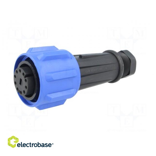 Connector: circular | plug | female | PIN: 10 | Buccaneer 900 | IP68 image 2