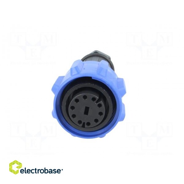 Connector: circular | plug | female | PIN: 10 | Buccaneer 900 | IP68 image 9