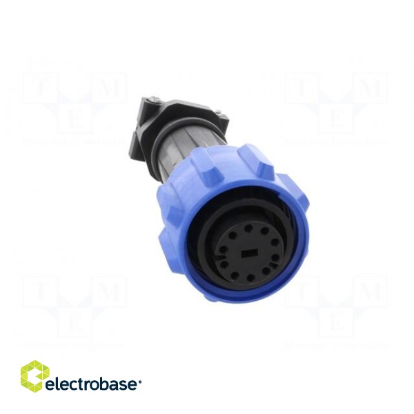 Connector: circular | plug | female | PIN: 10 | Buccaneer 900 | IP68 image 9