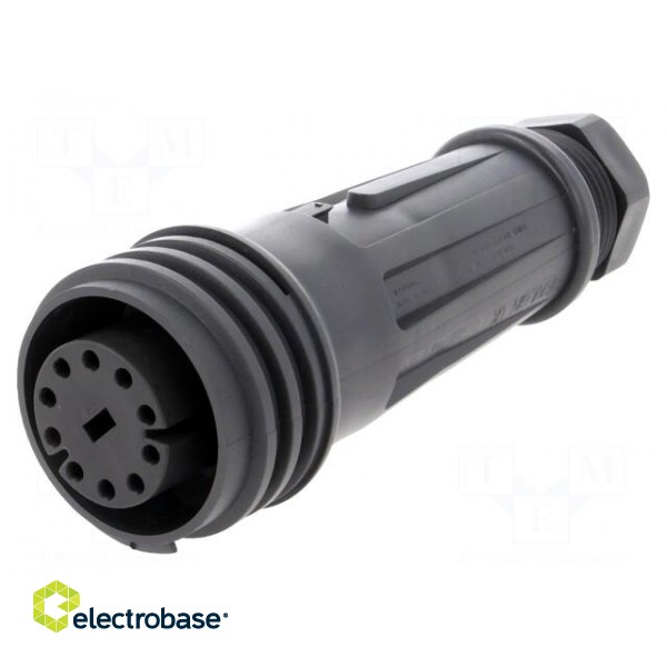 Connector: circular | plug | female | PIN: 10 | EXPlora | Contacts: brass image 1