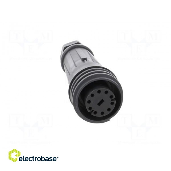 Connector: circular | plug | female | PIN: 10 | EXPlora | Contacts: brass image 9