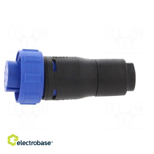 Connector: circular | plug | female | PIN: 12 | w/o contacts | for cable paveikslėlis 3
