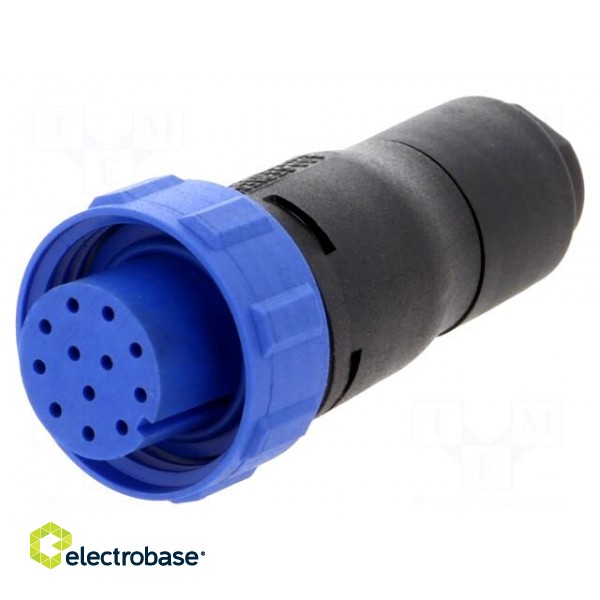 Connector: circular | plug | female | PIN: 12 | w/o contacts | for cable image 1
