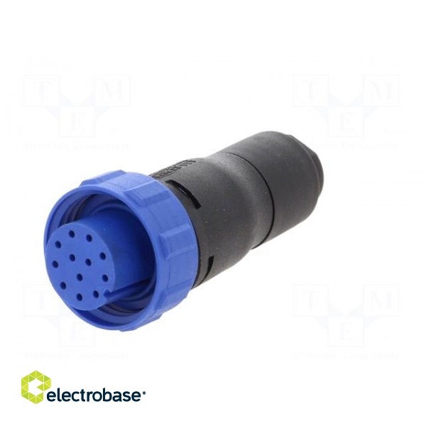 Connector: circular | plug | female | PIN: 12 | w/o contacts | for cable paveikslėlis 2
