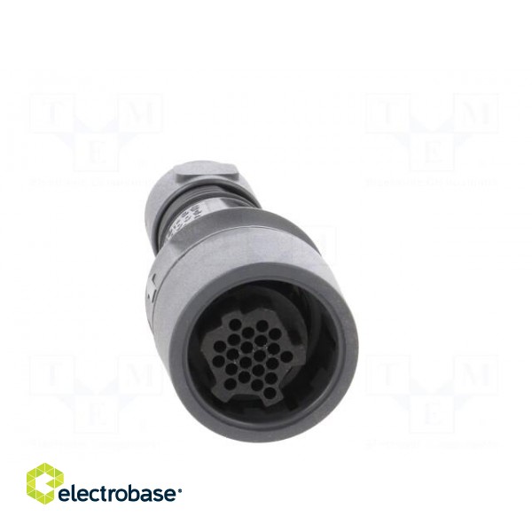 Connector: circular | plug | female | PIN: 22 | w/o contacts | for cable image 9