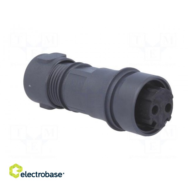 Connector: circular | plug | female | PIN: 2 | Buccaneer 6000 | UL94V-0 image 8