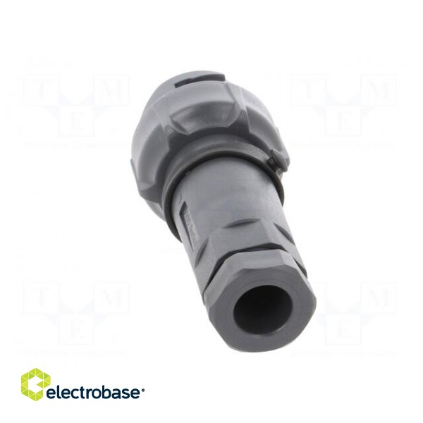 Connector: circular | plug | female | PIN: 2 | Buccaneer 7000 | UL94V-0 image 5