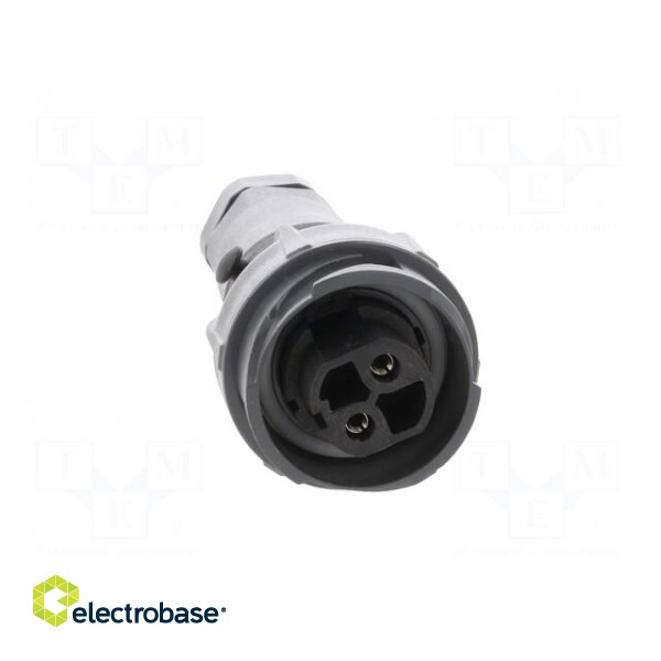 Connector: circular | plug | female | PIN: 2 | Buccaneer 7000 | UL94V-0 image 9