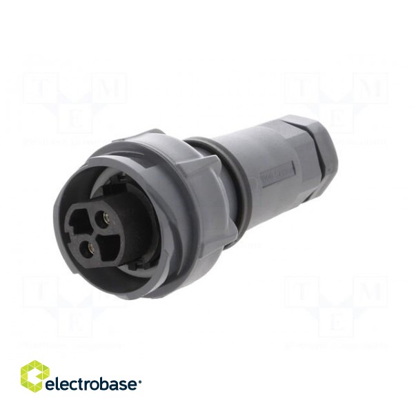 Connector: circular | plug | female | PIN: 2 | Buccaneer 7000 | UL94V-0 image 2