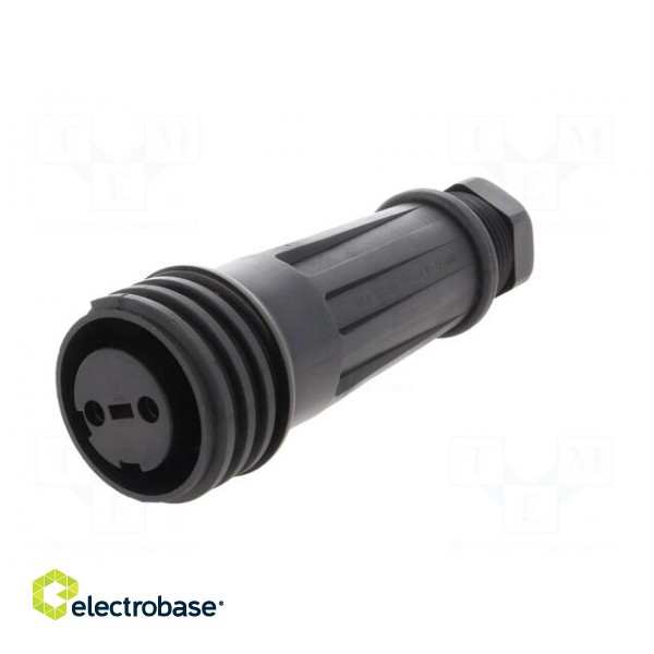 Connector: circular | plug | female | PIN: 2 | Buccaneer 900 | for cable paveikslėlis 2