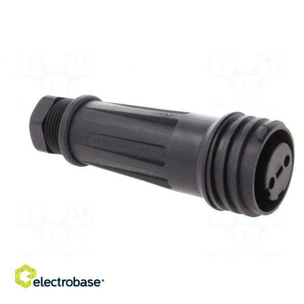 Connector: circular | plug | female | PIN: 2 | Buccaneer 900 | for cable paveikslėlis 8