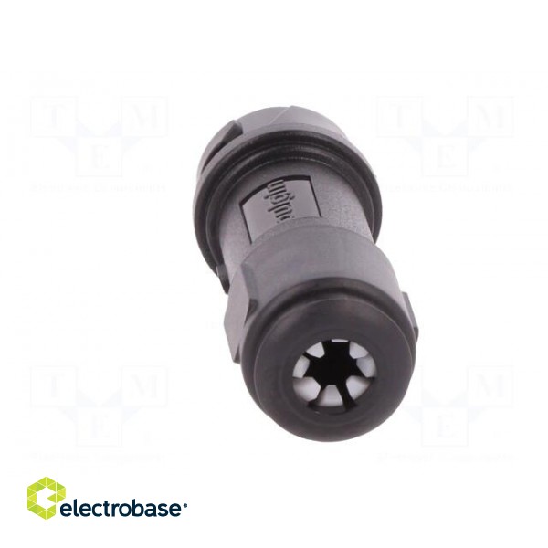 Connector: circular | plug | female | PIN: 2 | w/o contacts | for cable image 5