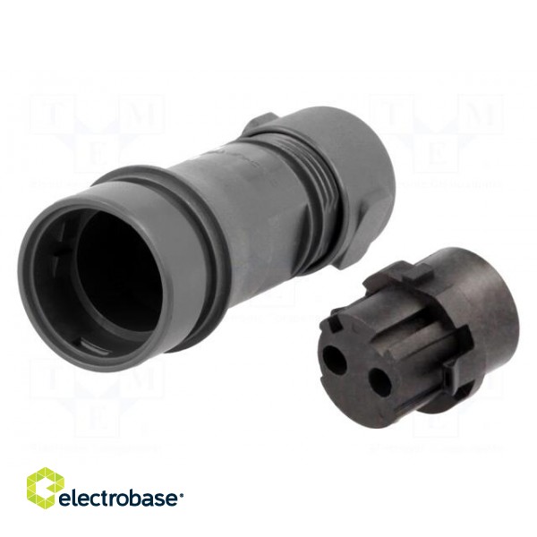 Connector: circular | plug | female | PIN: 2 | w/o contacts | for cable paveikslėlis 1