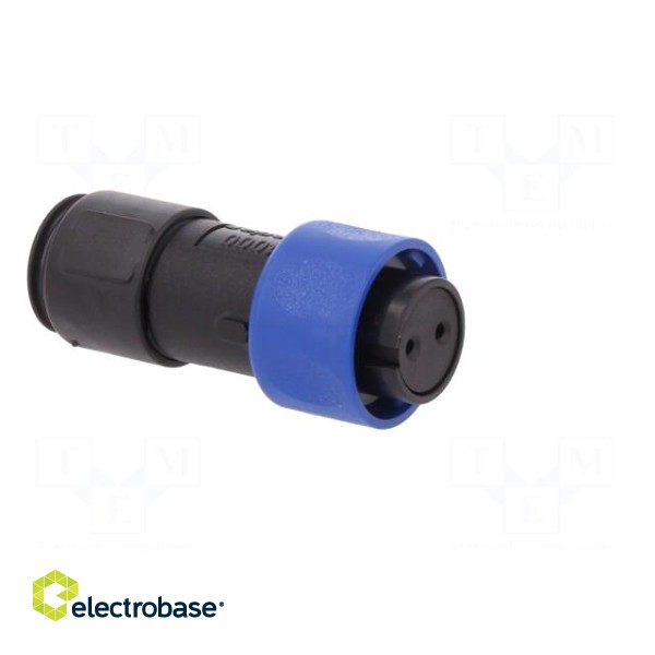 Connector: circular | plug | female | PIN: 2 | w/o contacts | for cable paveikslėlis 8