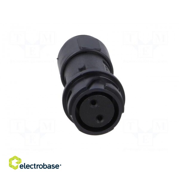 Connector: circular | plug | female | PIN: 2 | w/o contacts | for cable paveikslėlis 9