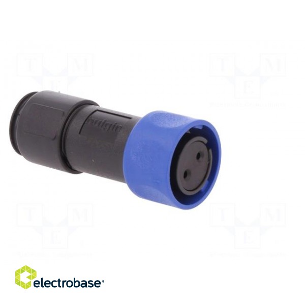 Connector: circular | plug | female | PIN: 2 | w/o contacts | for cable image 8