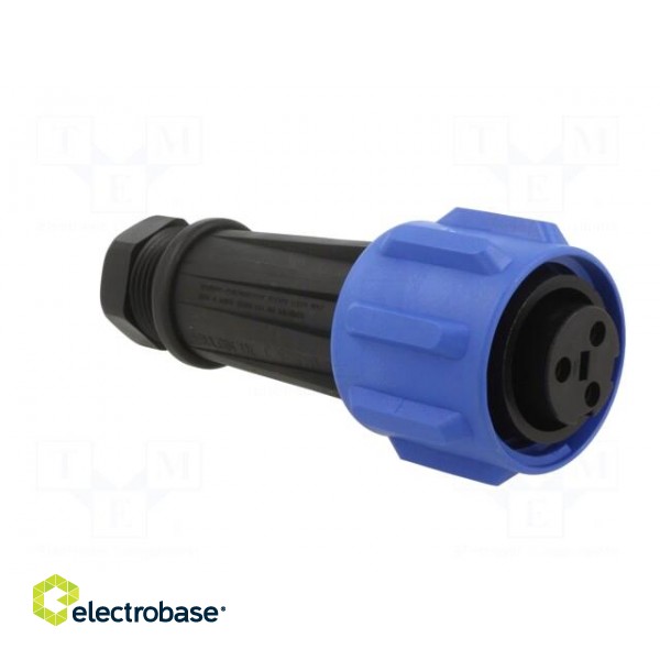 Connector: circular | plug | female | PIN: 3 | Buccaneer 900 | for cable paveikslėlis 8