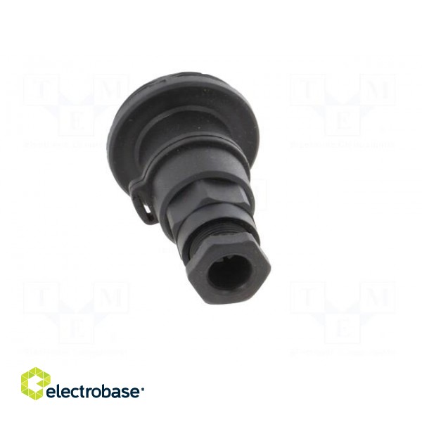Connector: circular | plug | female | PIN: 3 | Standard Buccaneer® image 5