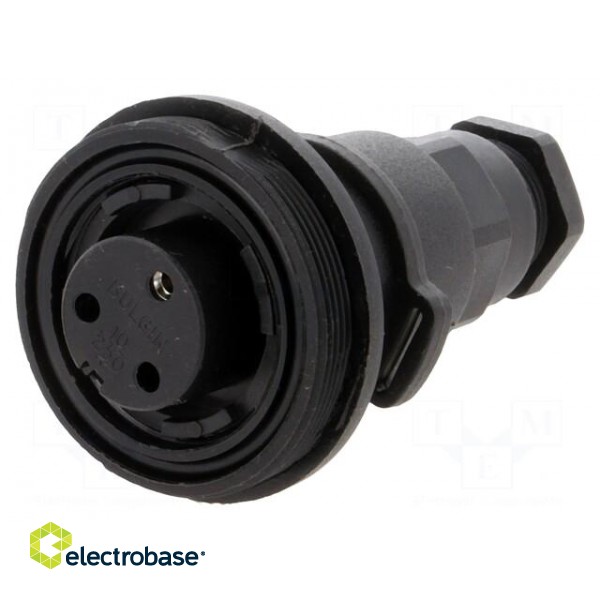 Connector: circular | plug | female | PIN: 3 | Standard Buccaneer® image 1