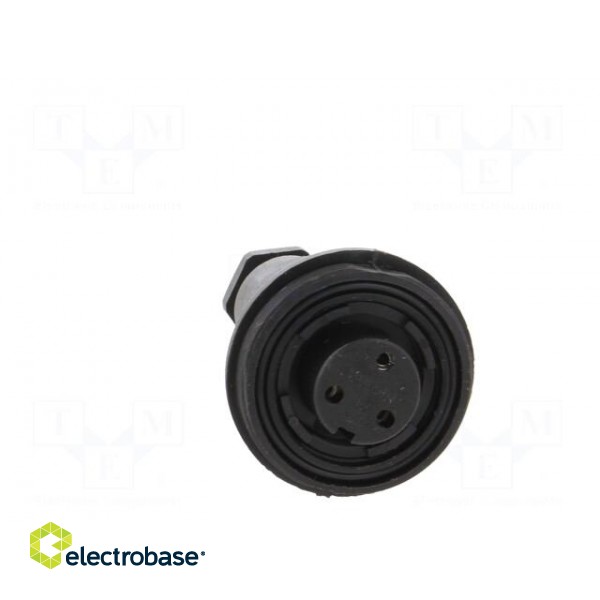 Connector: circular | plug | female | PIN: 3 | Standard Buccaneer® фото 9
