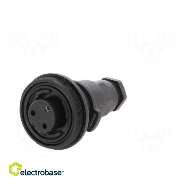 Connector: circular | plug | female | PIN: 3 | Standard Buccaneer® image 2