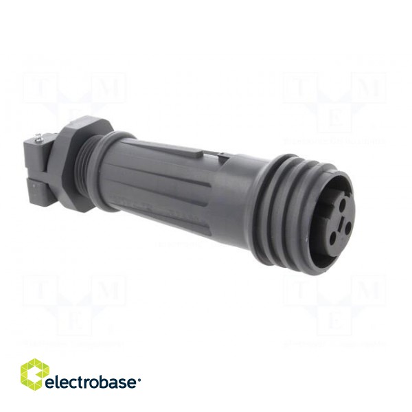 Connector: circular | plug | female | PIN: 3 | EXPlora | Contacts: brass paveikslėlis 8