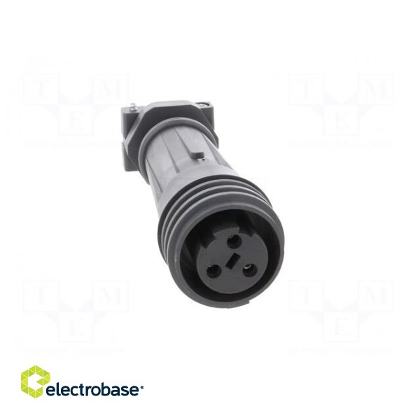 Connector: circular | plug | female | PIN: 3 | EXPlora | Contacts: brass image 9
