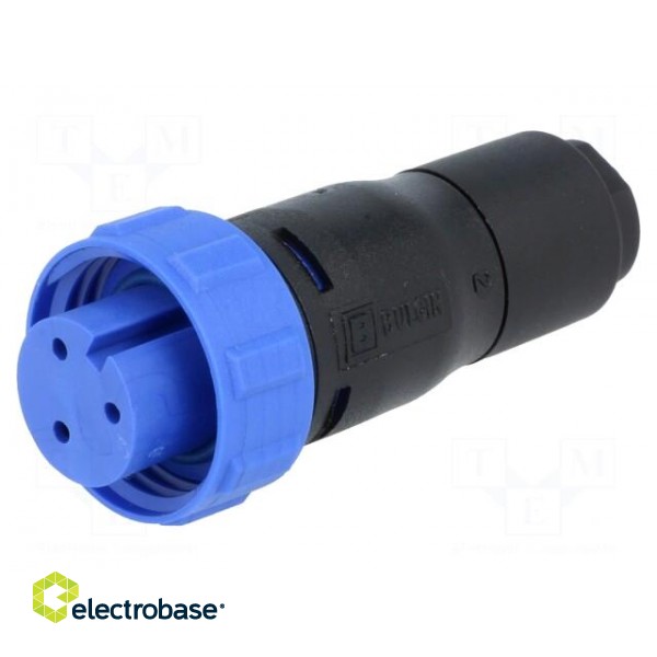 Connector: circular | plug | female | PIN: 3 | w/o contacts | for cable image 6