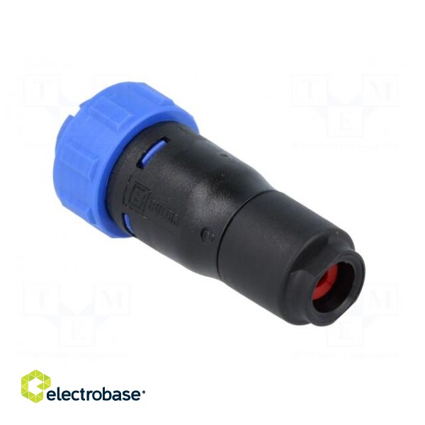 Connector: circular | plug | female | PIN: 3 | w/o contacts | for cable image 8