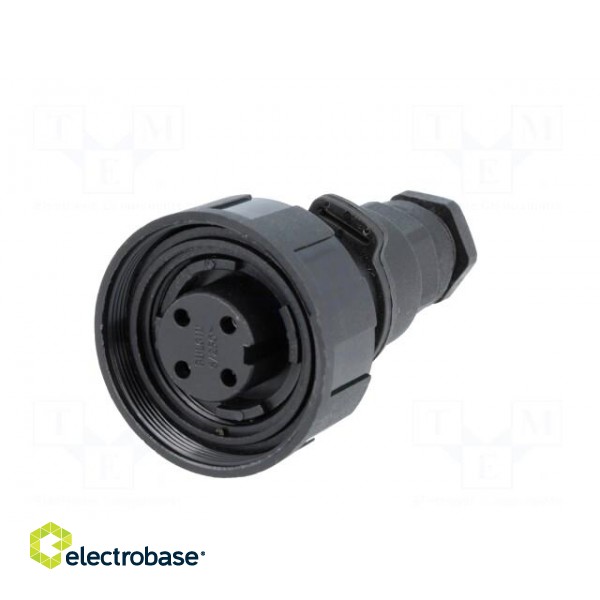 Connector: circular | plug | female | PIN: 4 | Standard Buccaneer® paveikslėlis 2