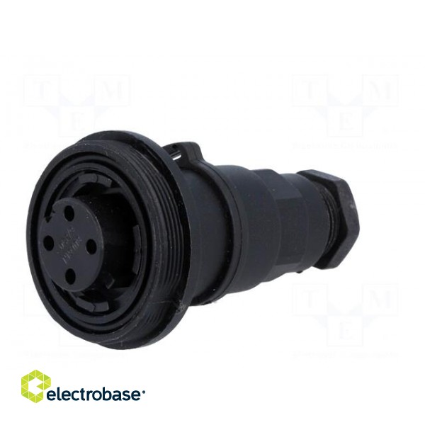Connector: circular | plug | female | PIN: 4 | Buccaneer Standard | IP68 image 2