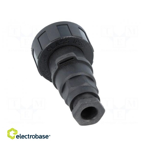 Connector: circular | plug | female | PIN: 4 | Standard Buccaneer® paveikslėlis 5