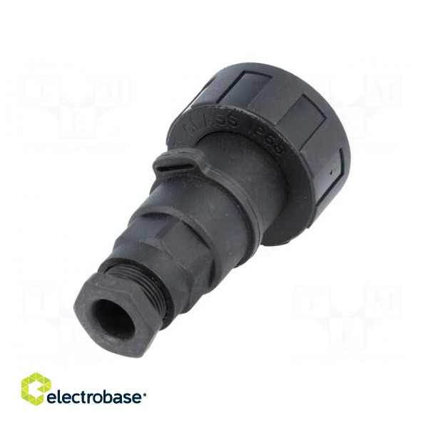 Connector: circular | plug | female | PIN: 4 | Standard Buccaneer® image 6