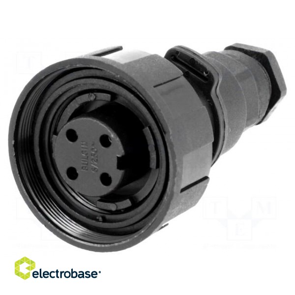 Connector: circular | plug | female | PIN: 4 | Standard Buccaneer® image 1