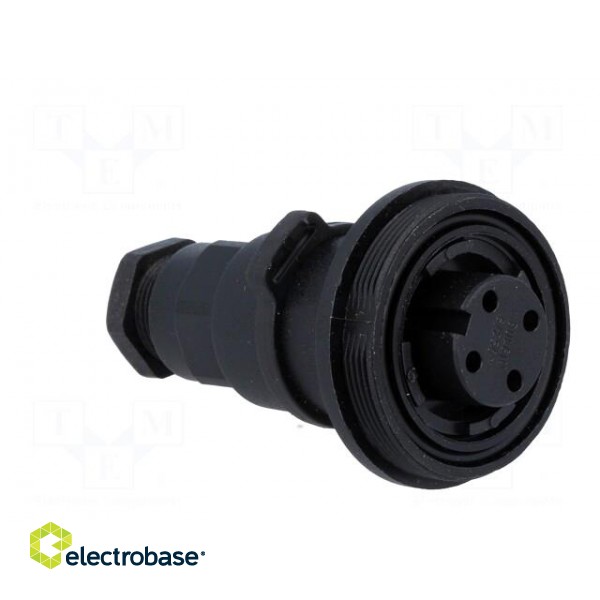 Connector: circular | plug | female | PIN: 4 | Buccaneer Standard | IP68 image 8
