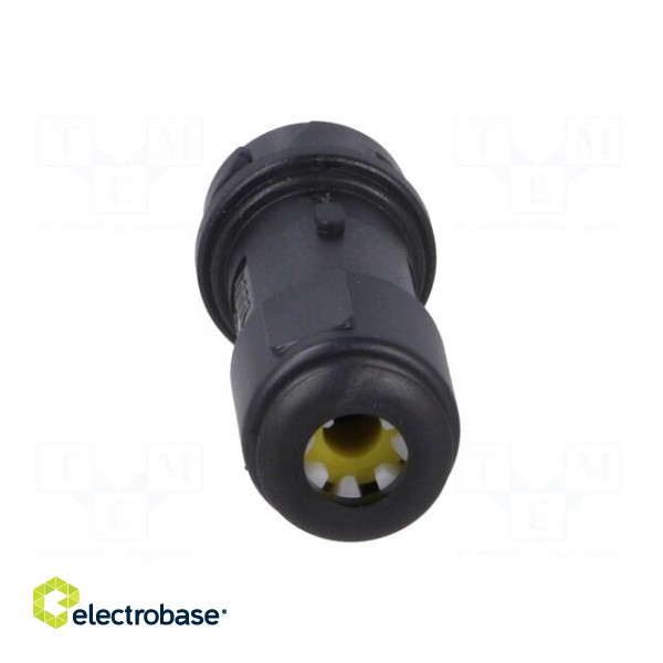 Connector: circular | plug | female | PIN: 4 | w/o contacts | for cable image 5