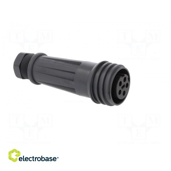 Connector: circular | plug | female | PIN: 5 | EXPlora | Contacts: brass image 8