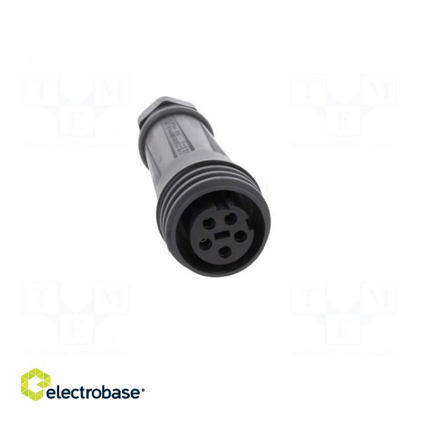 Connector: circular | plug | female | PIN: 5 | EXPlora | Contacts: brass image 9